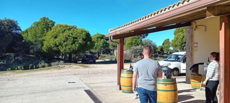 Madrid Wine Tour: Discover Unique Local Wineries & Tastings - Practical Details