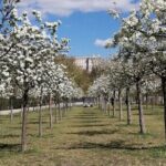 Madrids Golden Age: History along the Manzanares River - What to Expect During Your Tour