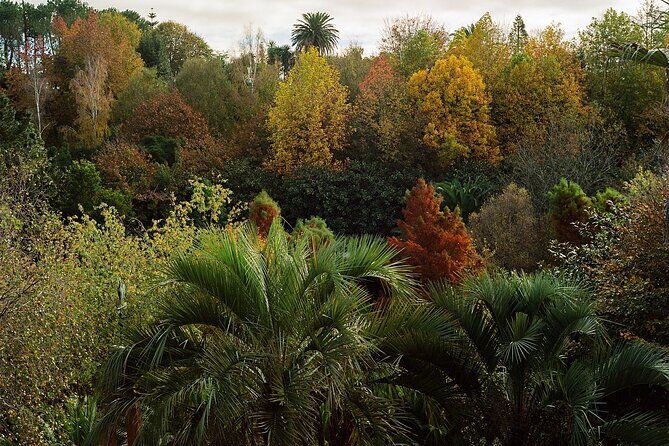 Magical and Exclusive Private Visit to the Fonte Baxa Garden, Luarca - Why this tour is worth it