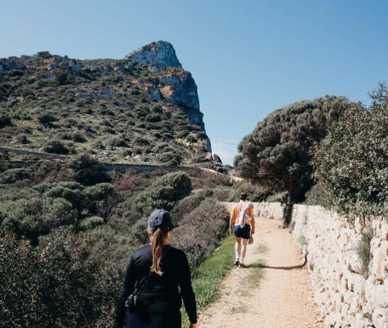 Majorca: Visit the Natural Park of Dragonera Island by boat - A Detailed Look at the Dragonera Island Tour