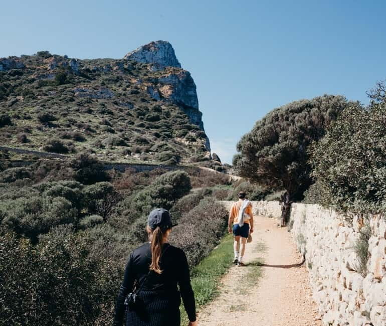 Majorca: Visit the Natural Park of Dragonera Island by boat - A Detailed Look at the Dragonera Island Tour