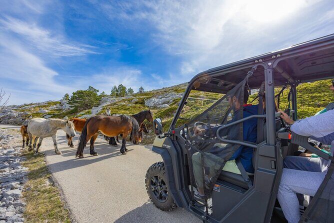 Makarska: Baggy Skywalk & Biokovo viewpoint Tour - FAQs
