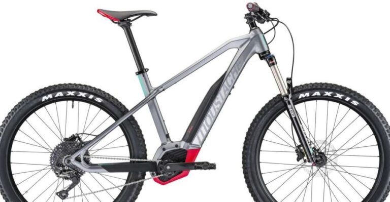 Málaga: City Highlights Private E-Bike Tour - A Deep Dive into the Malaga E-Bike Tour