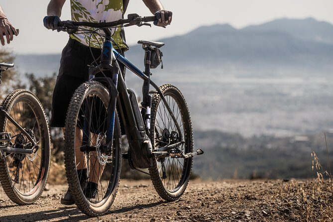 Malaga E-MTB Tour: Botanical Garden, Natural Park and Port of Malaga - Who Should Consider This Tour?