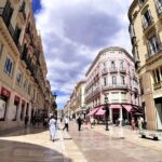 Malaga: group walking Tour - Who Should Take This Tour?