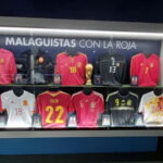 Málaga: La Rosaleda Stadium and Museum Guided Tour - Final Thoughts: Is It Worth It?