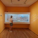 Malaga: Picassos Birthplace Museum Entrance Ticket - Authentic Visitor Perspectives