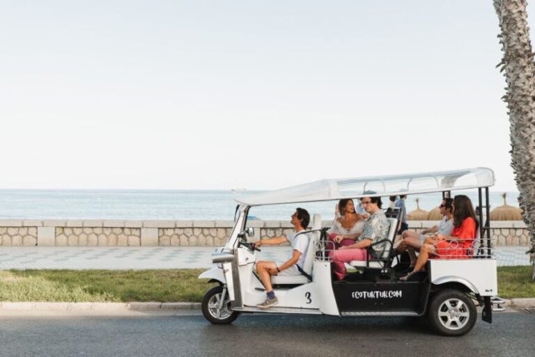Malaga: Private City Tour by Eco Tuk Tuk - Exploring Malaga in a Unique Way