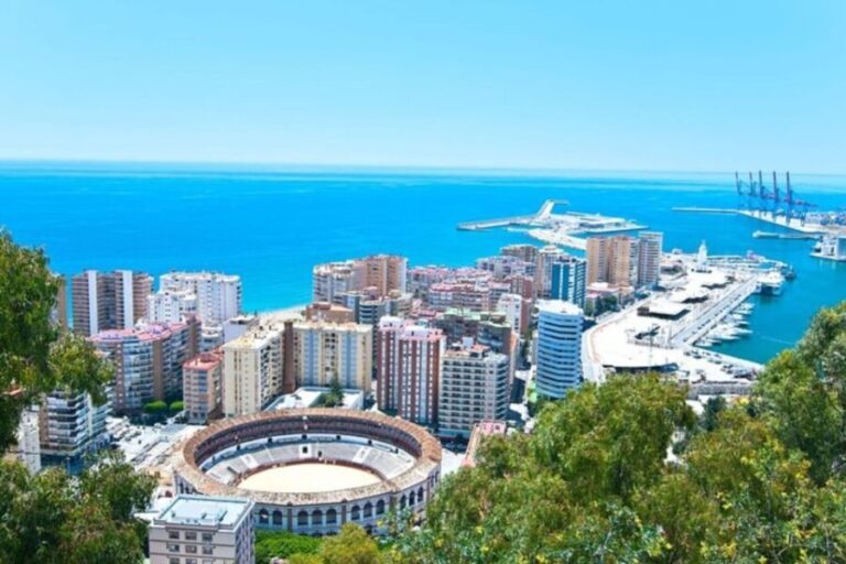 Malaga: Private custom Walking tour with a local guide - Who Would Love This Tour?