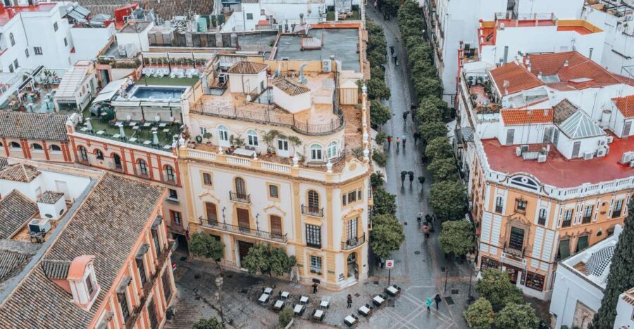 Malaga: Private Picasso Museum Tour - What to Expect During the Tour