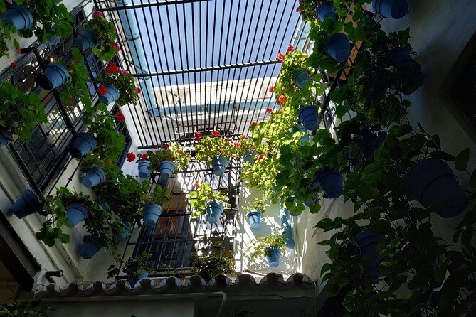 MALAGA PRIVATE TOUR - by OhMyGoodGuide - Final Thoughts