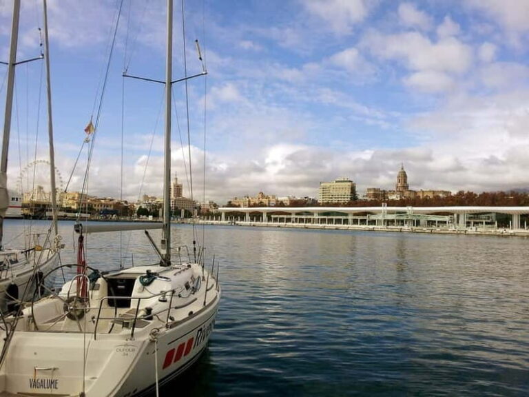 Malaga: Private Walking Tour with Official Guide - FAQ