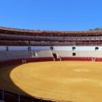 Malaga: Tour of Malagueta Bullring & Immersive Exhibition - Is This Tour Worth It?