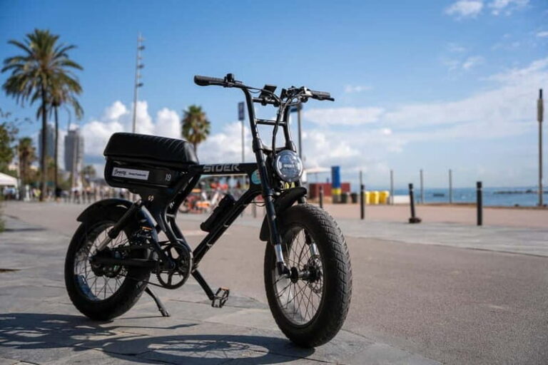 Malaga: Up to 8 hour Electric Fatbike Rental - Who Should Consider This Experience?