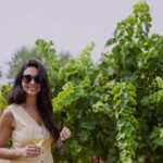 Malaga: Vineyard and Cellar Visit with 6 Top Wines and tapas - What Sets This Tour Apart?