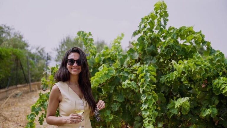 Malaga: Vineyard and Cellar Visit with 6 Top Wines and tapas - What Sets This Tour Apart?
