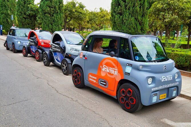 Málaga VIP Tour by Electric Car  Private 5-Hour Experience - Who Will Love This Tour?