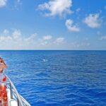 Mallorca: 2-Hour Dolphin Watching Cruise & Glass-Bottom Boat - FAQs
