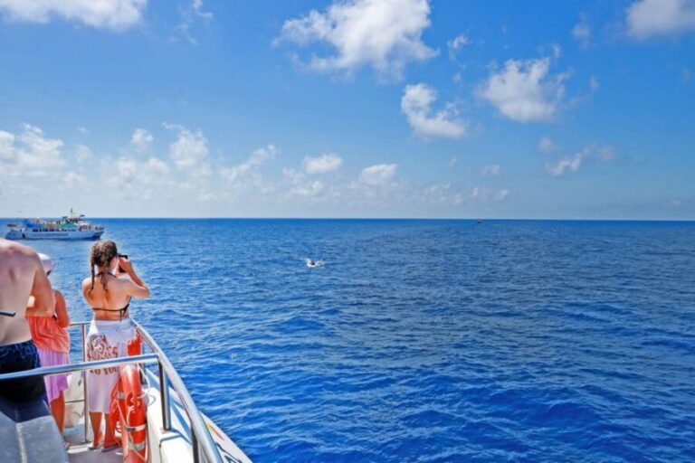 Mallorca: 2-Hour Dolphin Watching Cruise & Glass-Bottom Boat - FAQs