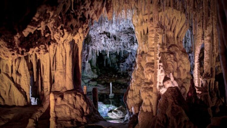 Mallorca: Caves of Hams Entry Ticket with Transportation - Why This Tour Is Worth Considering
