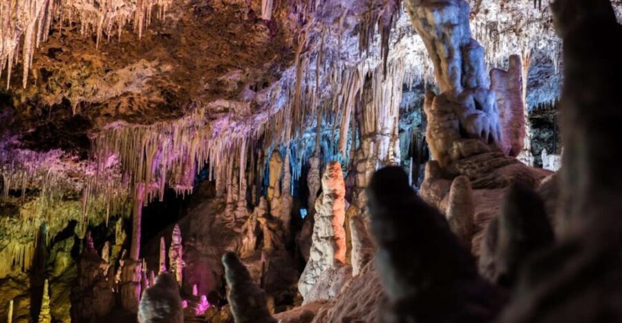 Mallorca: Day Trip to Caves of Hams & Optional Dinosaurland - Discovering Mallorca’s Underworld and Beyond