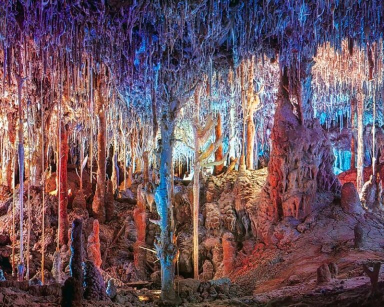 Mallorca: Dinosaurland and Caves of Hams Combined Ticket - A Closer Look at the Caves of Hams