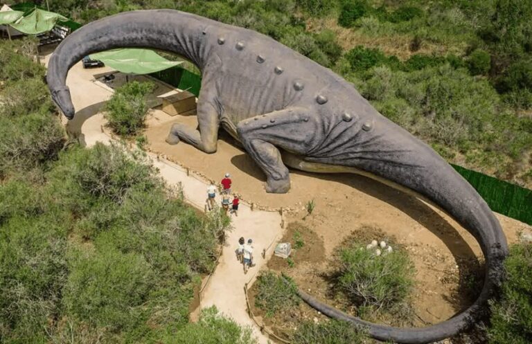Mallorca: Dinosaurland Park, Hams Caves & Porto Cristo Tour - Final Thoughts: Is This Tour Worth It?