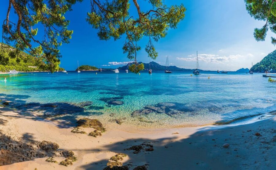 Mallorca: Discover Paradise: Formentor and Playa de Muro - Who Will Love This Tour?