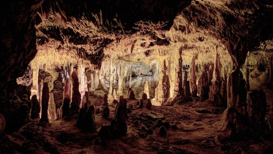 Mallorca: Drach Caves, Lake Martel, & Pearl Factory Day Trip - Who Would Love This Tour?