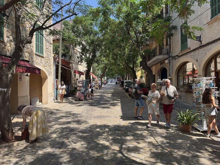 Mallorca: Full-Day Scenic Villages Tour with local Lunch - Lunch in the Countryside