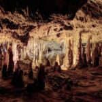 Mallorca: Half-Day Hams' Caves Tour with Pearl Shop Visit - The Sum Up