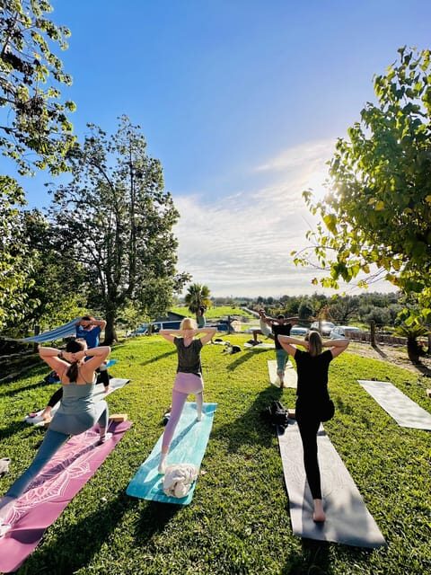 Mallorca: Holistic Private Yoga and Meditation Retreat - A Deep Dive into the Mallorca Yoga and Meditation Retreat