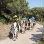 Mallorca: Horseback Riding Excursion and Wine Tasting - Who Is This Tour Best For?