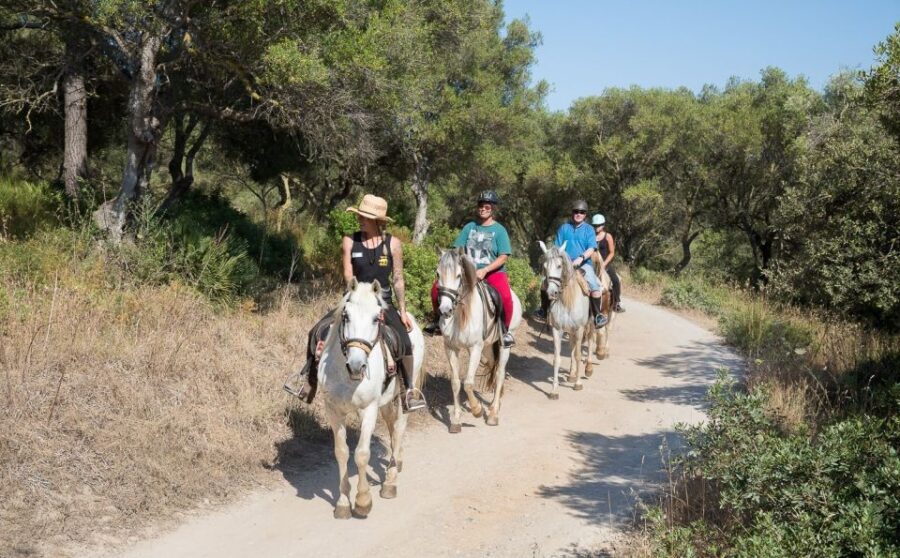 Mallorca: Horseback Riding Excursion and Wine Tasting - Who Is This Tour Best For?