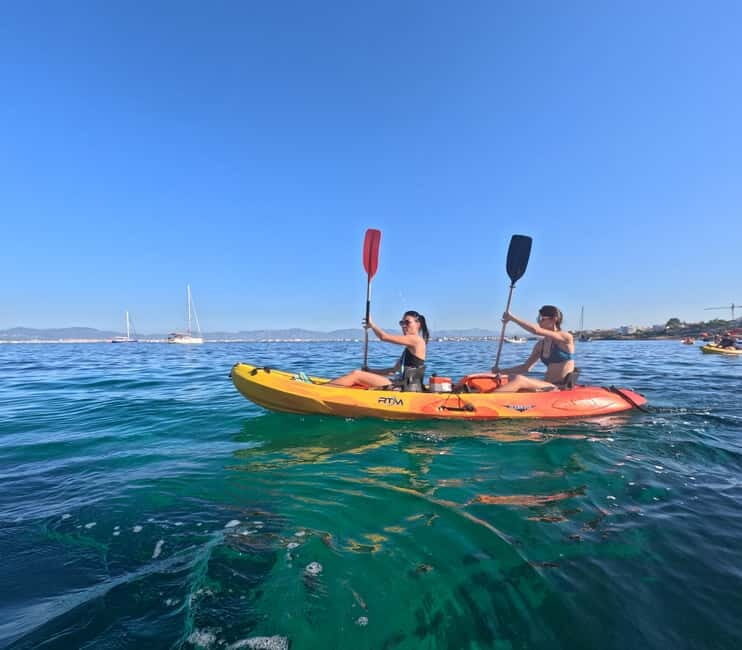 Mallorca: Kayak Rental - Who Will Love This Experience?