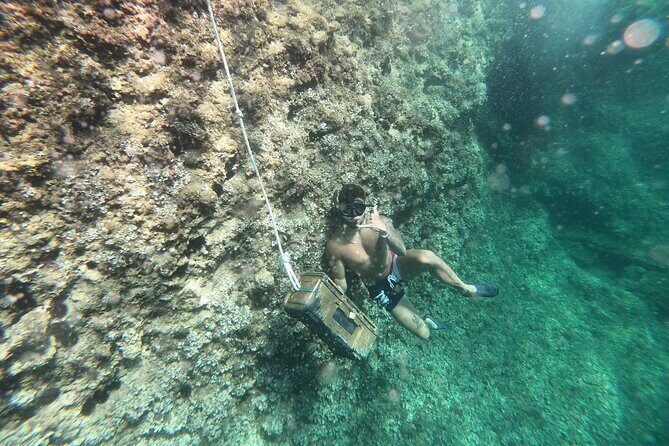 Mallorca: Kayaking, Sea Cave, Cliff Jumping & Snorkel Tour - Cliff Jumping and Snorkeling