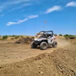 Mallorca Kids Buggy - Who Will Love Mallorca Kids Buggy?