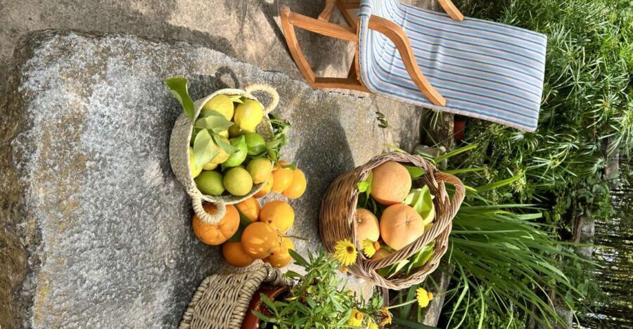 Mallorca Orange Valley Vintage train and orange farm - Why This Tour Works Well for Travelers