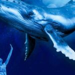 Mallorca: Palma Aquarium Entry Ticket w/ Optional 3D Cinema - Who Should Visit Palma Aquarium?