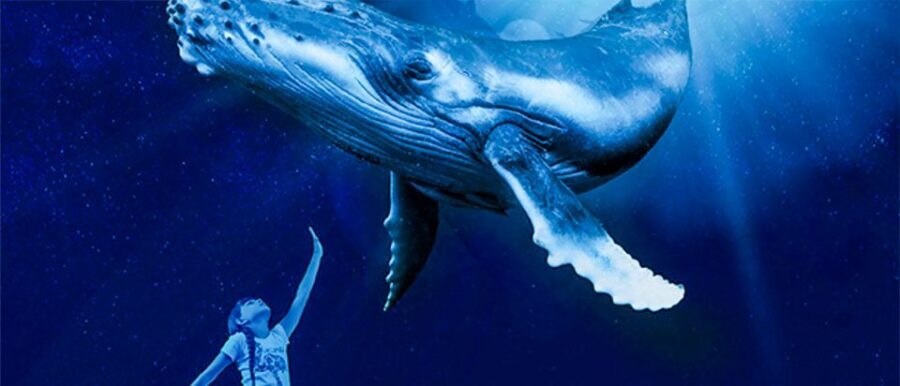Mallorca: Palma Aquarium Entry Ticket w/ Optional 3D Cinema - Who Should Visit Palma Aquarium?