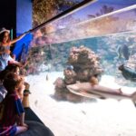 Mallorca: Palma Aquarium Tickets with Transfer - A Deep Dive into the Mallorca Palma Aquarium Tour