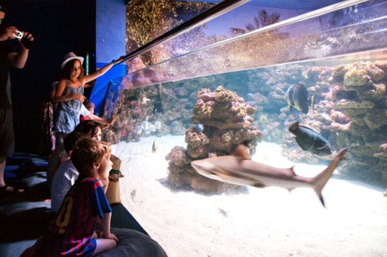 Mallorca: Palma Aquarium Tickets with Transfer - A Deep Dive into the Mallorca Palma Aquarium Tour