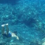 Mallorca: Private Boat Tour with Snorkeling & Snacks - FAQ
