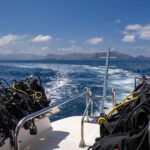 Mallorca: Scuba Dive Adventure Cap de Formentor - 2 dive sites - Why This Tour Offers Real Value