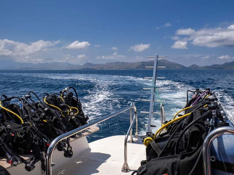 Mallorca: Scuba Dive Adventure Cap de Formentor - 2 dive sites - Why This Tour Offers Real Value