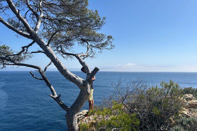 Mallorca Secret Coves Land Rover Private Tour - How the Itinerary Unfolds