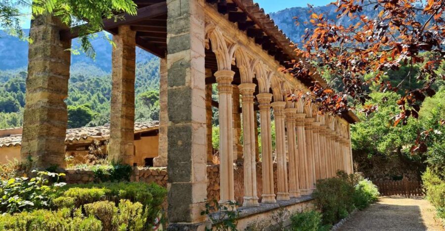 Mallorca: Tramuntana Mountains Tour with Local Guide & Lunch - Who Will Love This Tour?