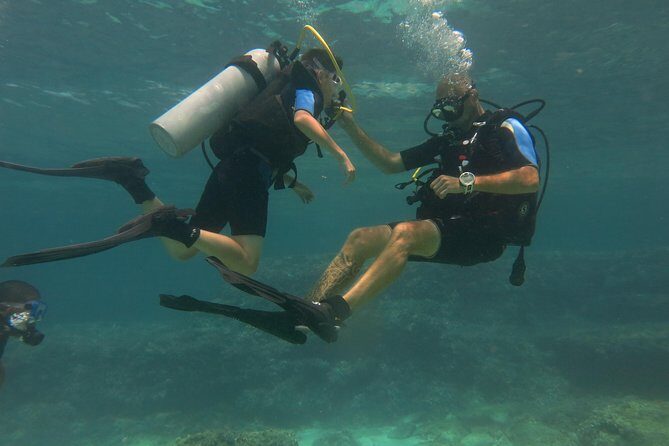 Mallorca: Try Scuba Diving in a Beautiful Nature Reserve - Who Should Consider This Tour?