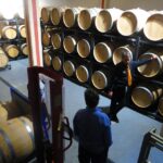Mallorca: Wine Cellar Tour XL - including 3 Wine Tastings - Frequently Asked Questions (FAQs)