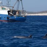 Marbella: Dolphin Watching Boat Tour - The Sum Up